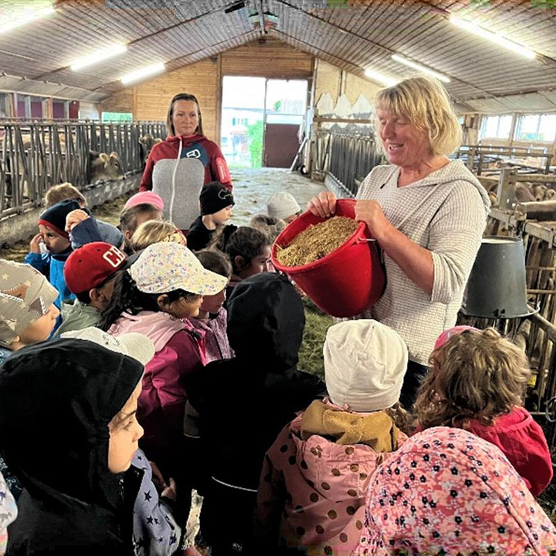 Bauernhof-Projekt für Kinder